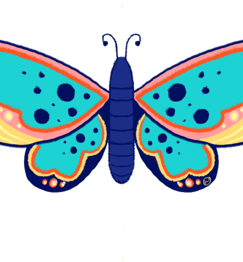 butterfly _2