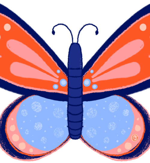 butterfly _3